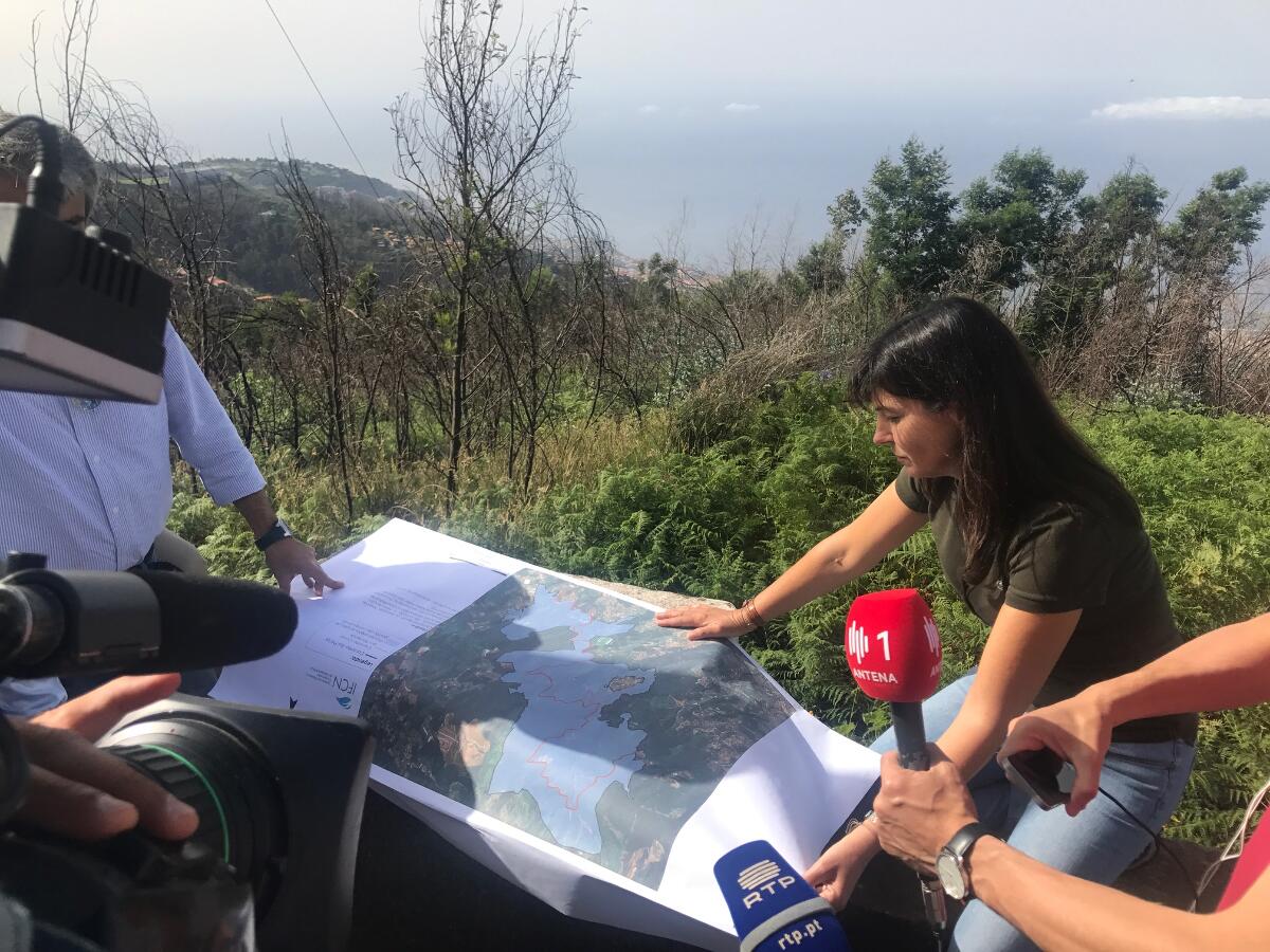 Faixa “corta-fogo” para prevenção de incêndios e proteção da população do Funchal