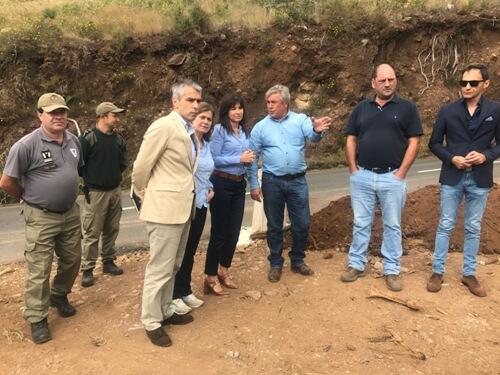 Limpeza de 65 hectares no Montado dos Louros - Monte