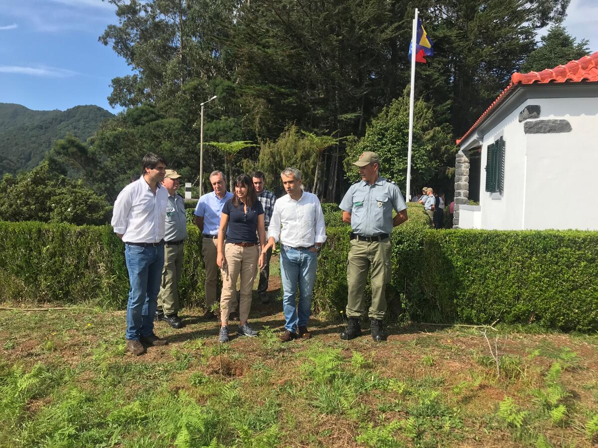 1,65 milhões para recuperar Postos Florestais e Torres de Vigilância