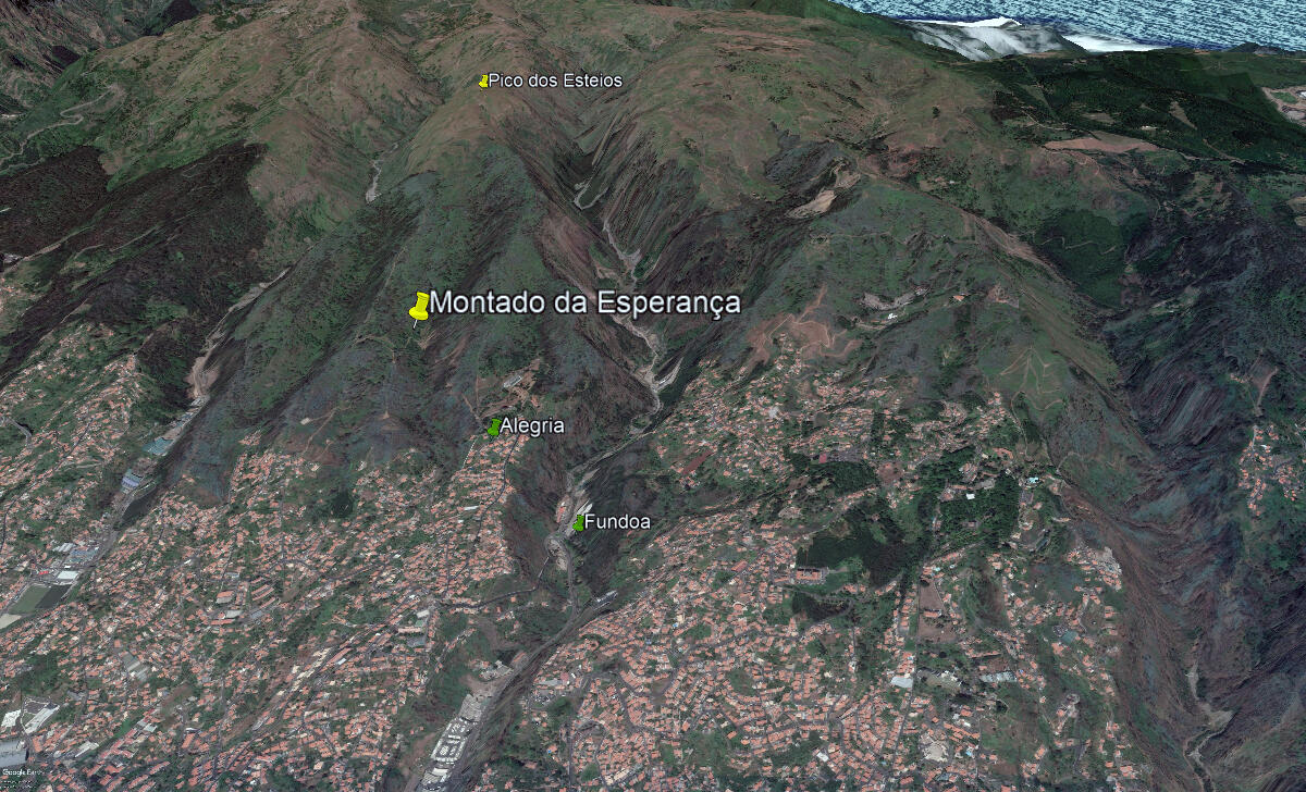 90 mil plantas para o Montado da Esperança