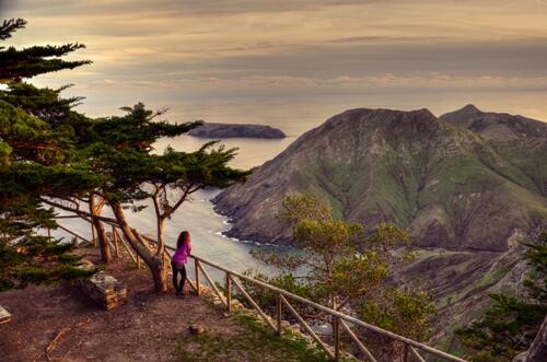 Porto Santo candidato a Reserva da Biosfera