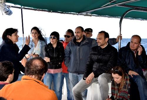 Madeira terá a primeira área de Portugal para a proteção de cetáceos