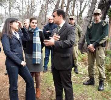 Governo intervém em 50 km de caminhos florestais