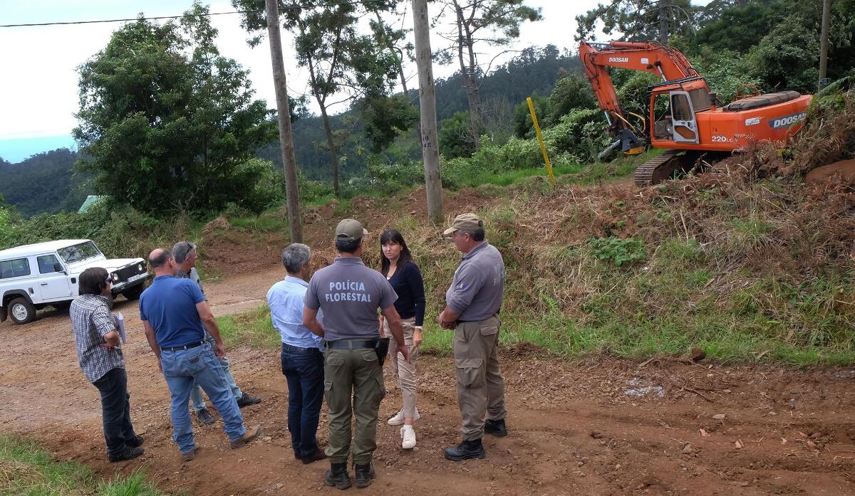 Governo limpa 150 km de caminhos florestais