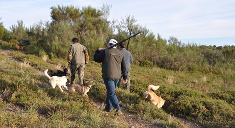 Governo já definiu calendário de caça
