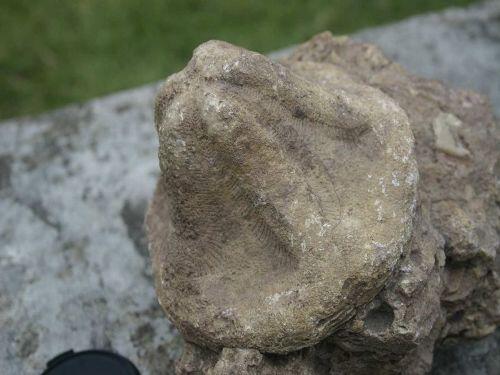 Lameiros eleito geossítio do mês de agosto