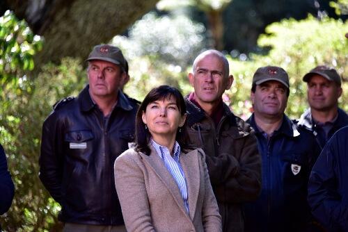 Secretaria do Ambiente planeia reflorestar 400 hectares neste ano