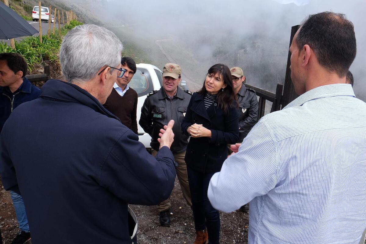 Prevenção contra os incêndios é para ser feita todos os anos