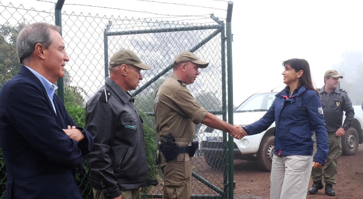 Torres de vigilância recuperadas são fundamentais para deteção dos incêndios