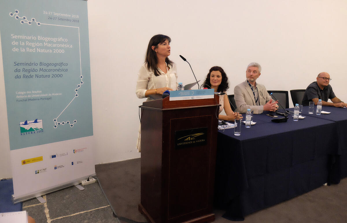 SIC Cetáceos integra Rede Natura 2000 até o final do ano