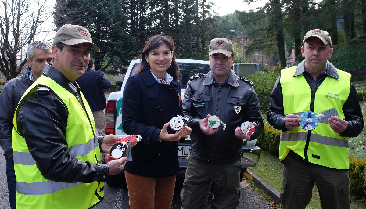 “Não podemos indiscriminadamente tomar a floresta de assalto e destruí-la”,