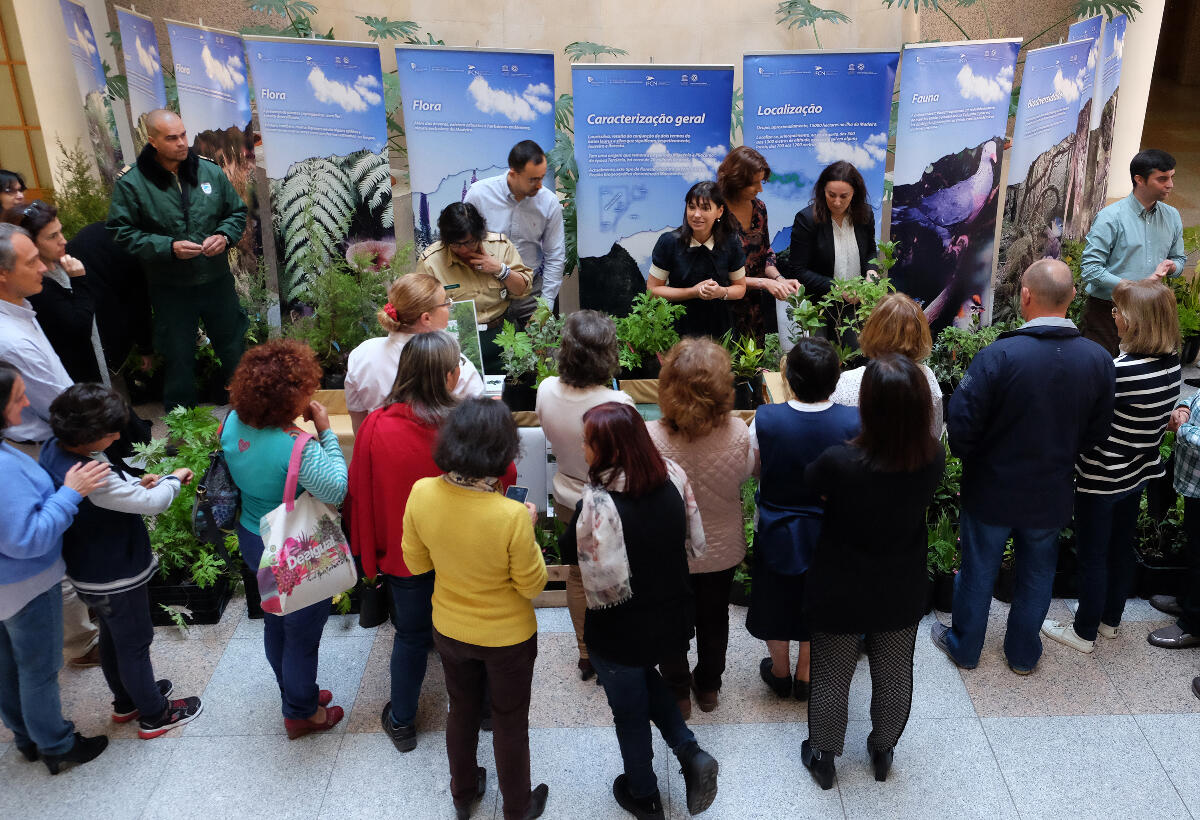 Secretaria do Ambiente oferece plantas indígenas e endémicas para celebrar Dia Internacional da Floresta