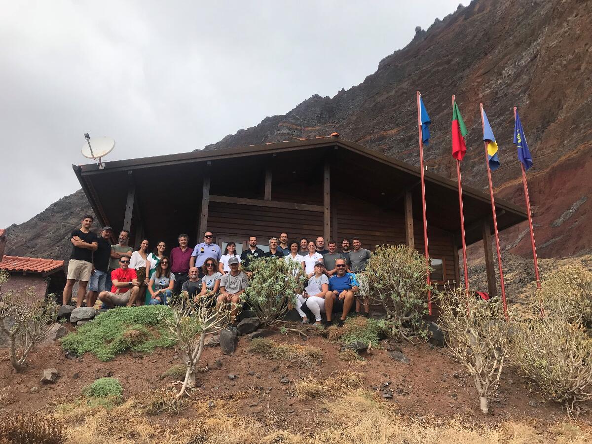 Colónia de lobos-marinhos na Madeira passou de seis para 30 exemplares em três décadas