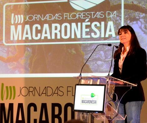 O Governo tem dado passos significativos no planeamento da área florestal da Madeira