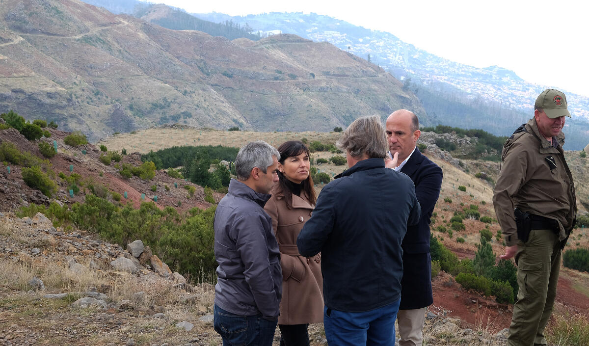 Reflorestação das serras é grande prioridade do Governo Regional