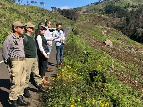 Susana Prada visita os trabalhos de intervenção florestal num terreno privado e apoiados pelo PRODERAM