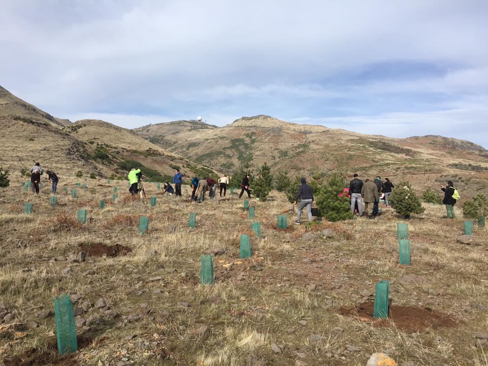 Associação de Pastores das Serras de Santo António, São Roque e Areeiro mente despudoradamente