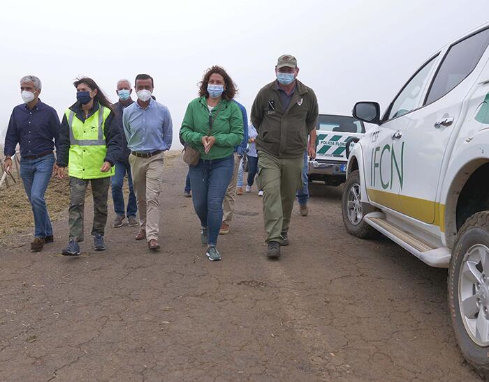 Governo limpa zona protegida para recuperar vegetação importante para captação da água do nevoeiro