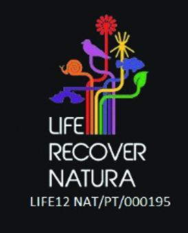 Projeto Europeu Life Recover Natura
