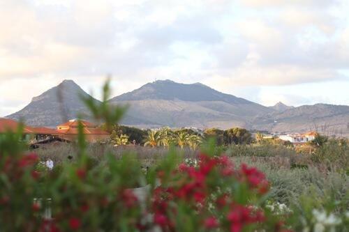 Época venatória encerrada no Porto Santo