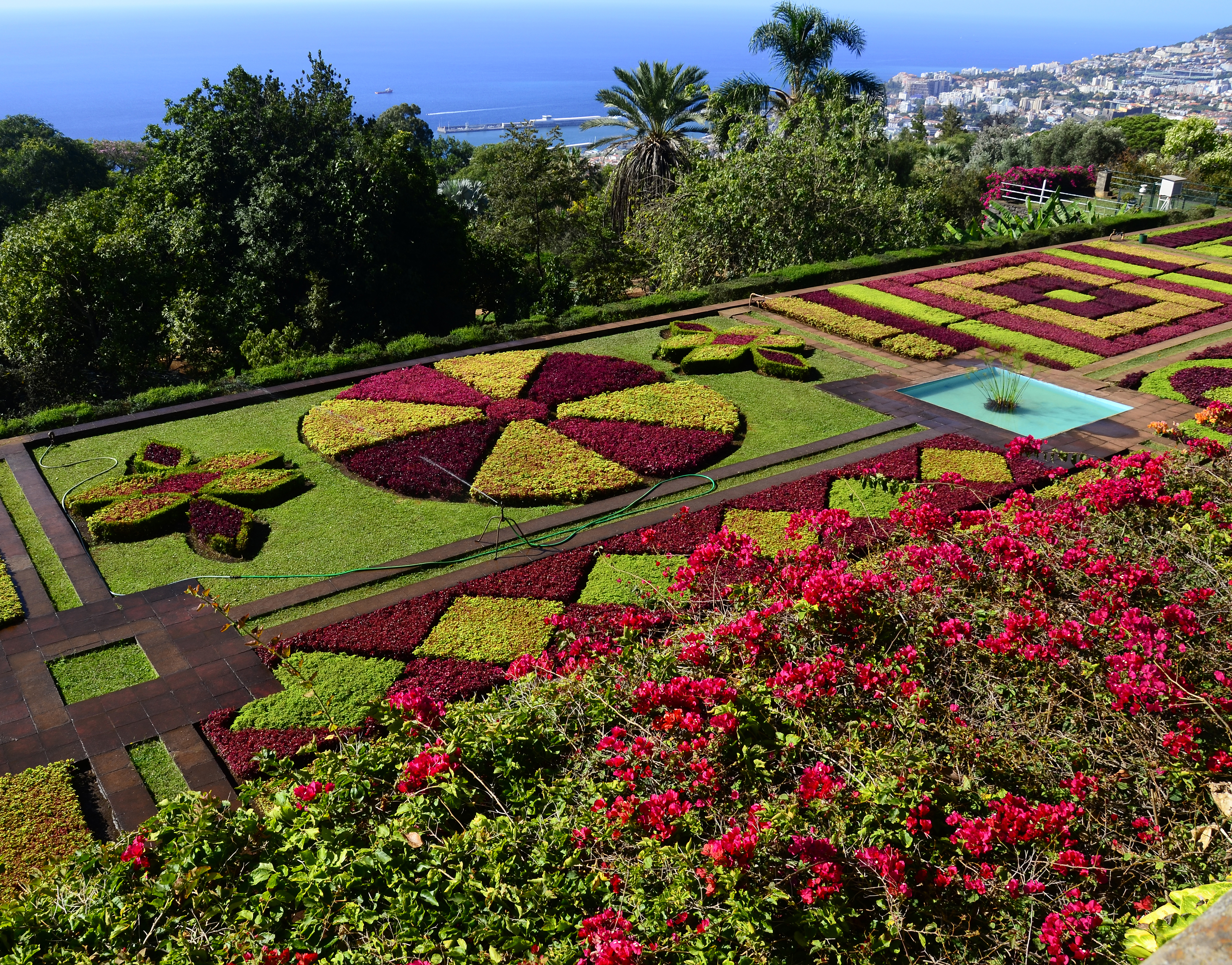 Jardim Botânico da Madeira - Engenheiro Rui Vieira celebra 60 anos