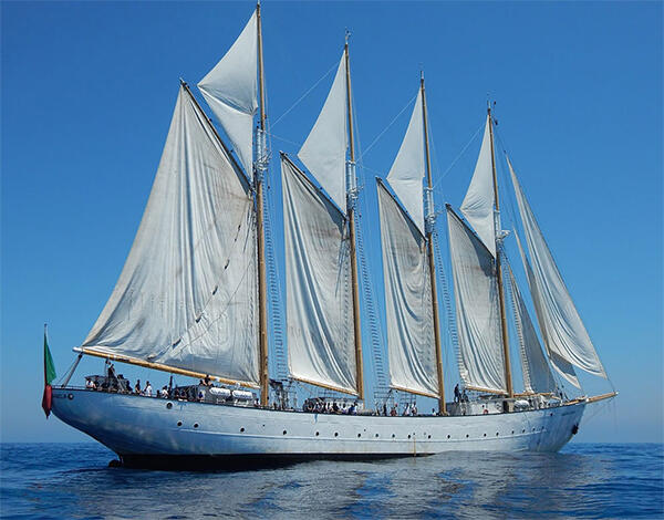 Selvagens suscitam interesse turístico 