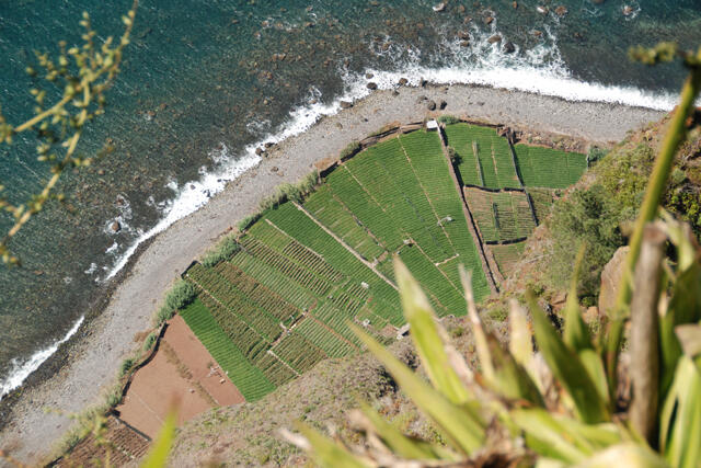 Cabo Girão terá área protegida em terra e no mar
