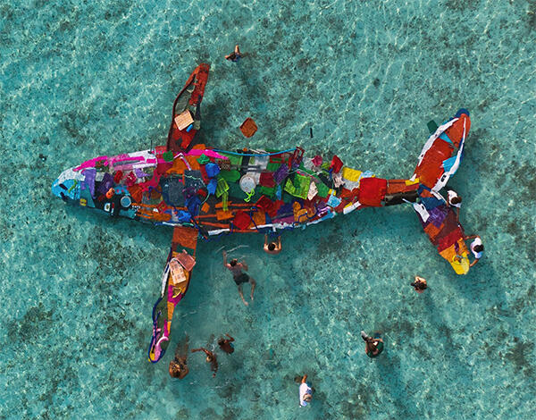    Madeira vai ter obras de Bordalo II feitas a partir de lixo marinho