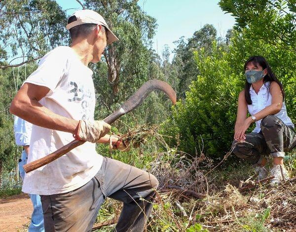 Atenções redobradas face às altas temperaturas