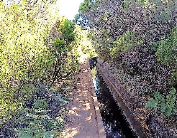 Ambiente investe na limpeza de percursos pedestres recomendados