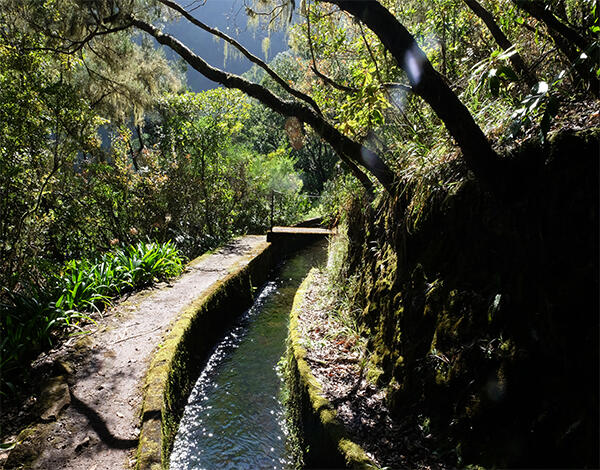 Comissão Nacional da UNESCO escolhe Madeira para encontro 