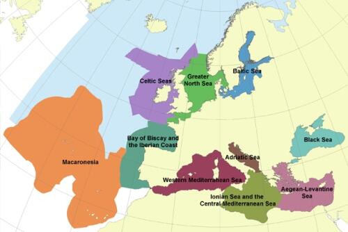 “Mapa laranja” aprovado por Bruxelas reforça posição  geoestratégica da Madeira