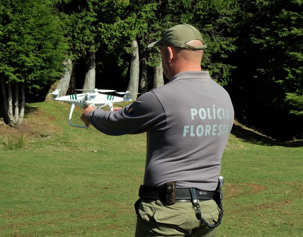 Drones reforçam vigilância florestal