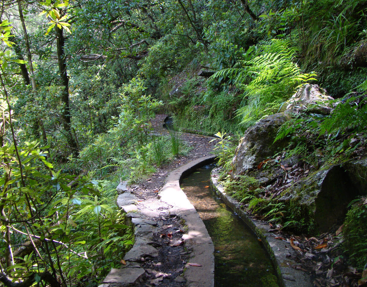 IFCN encerra percursos pedestres recomendados
