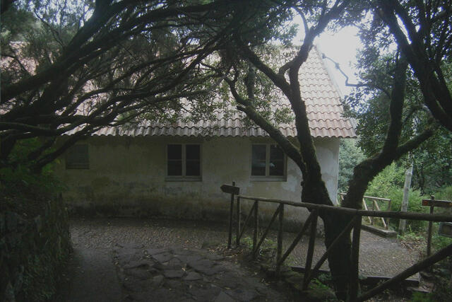 Susana Prada quer acelerar abertura das Casas de Abrigo