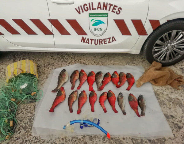 Vigilantes da Natureza detetam pesca ilegal na Reserva do Garajau