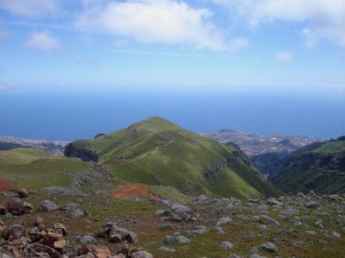 Pastoreio é possível de forma ordenada