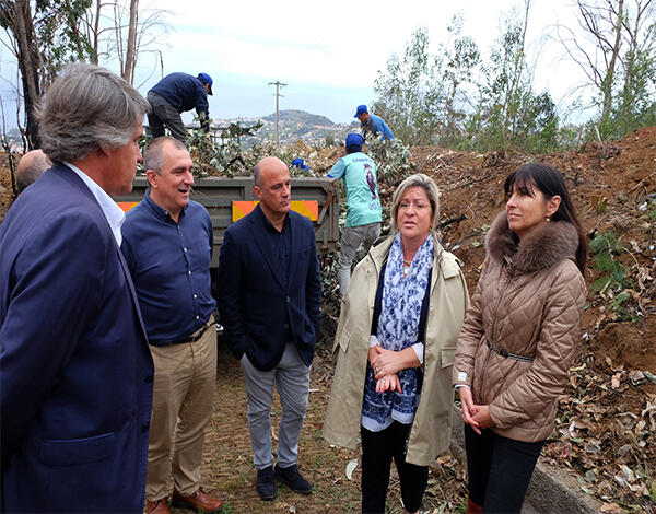 Governo Regional vai limpar mais 1400 hectares de floresta até 2020