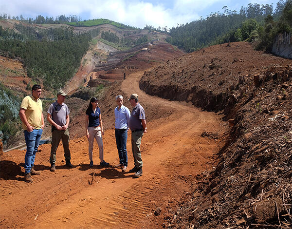 30 por cento dos terrenos da Faixa Corta-Fogo já estão intervencionados