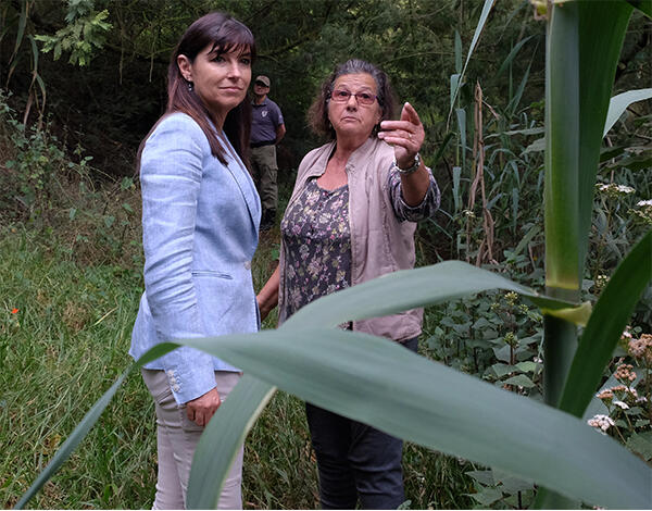 Governo limpa mais 10 mil m2 junto a zonas habitacionais no Funchal