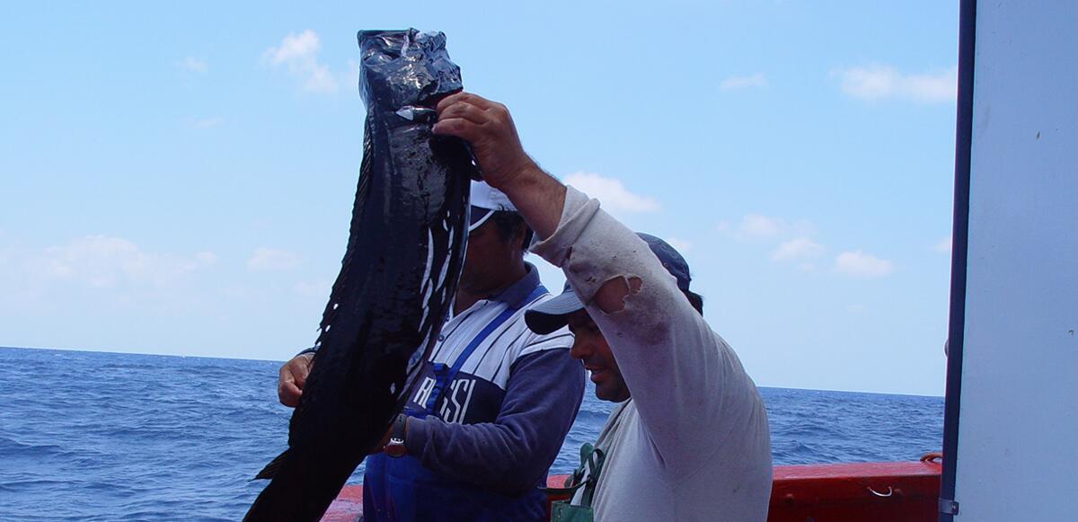 UE recua na descida de quota do peixe-espada