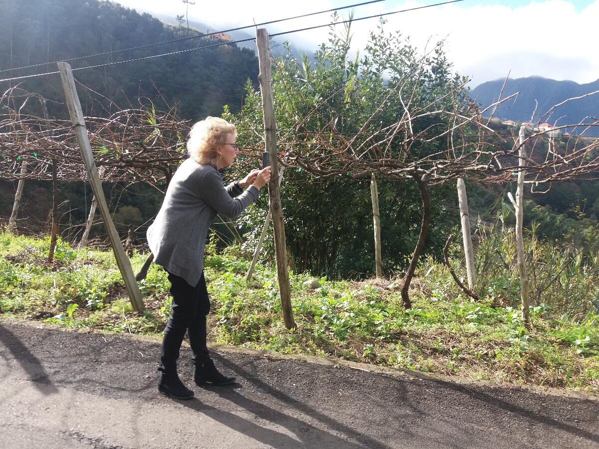 Jornalista norte-americana de visita à Região Demarcada da Madeira