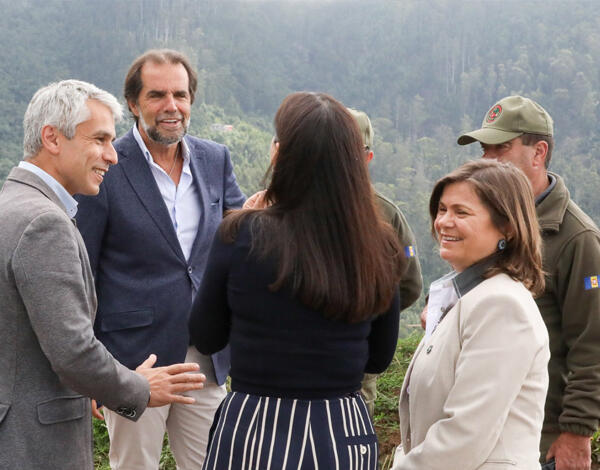 40% da faixa corta-fogo do Funchal já foi intervencionada