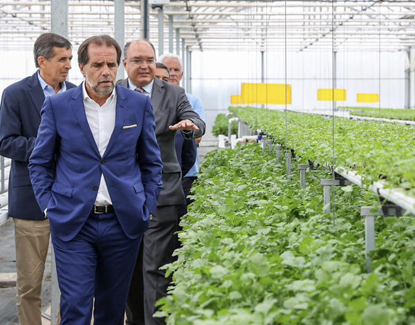 Empresas agrícolas madeirenses têm forte componente tecnológica