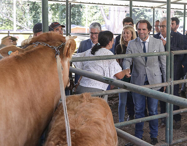 Albuquerque anuncia apoio de 3,4 milhões de euros para ajudar a manter preços na agricultura e na pecuária