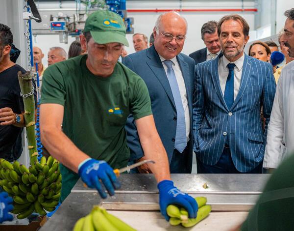 Presidente do Governo Regional visitou o Centro de Processamento da Banana