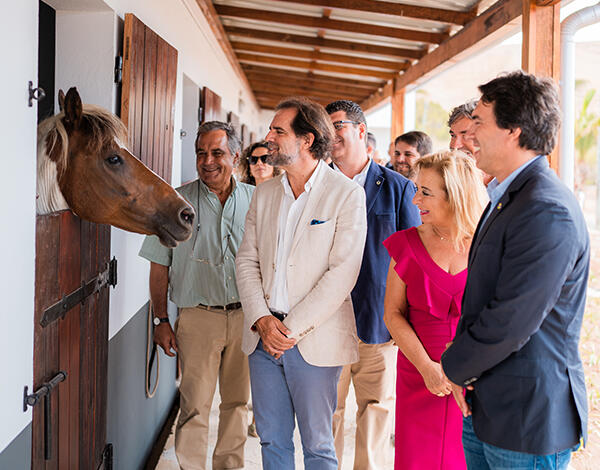 Centro Hípico do Porto Santo é um importante atrativo para a ilha 