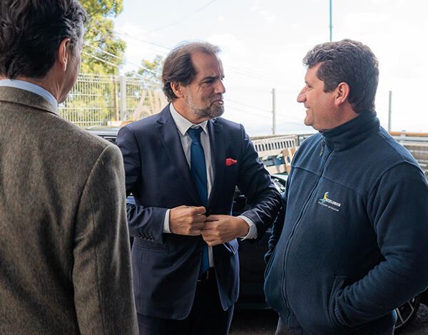 Madeira só aguarda resposta de Bruxelas para ajudar empresas a suportar aumentos da energia