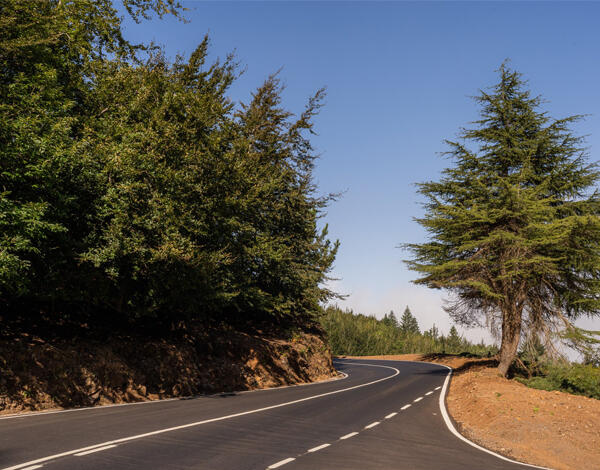 Albuquerque enaltece requalificação da estrada das Carreiras