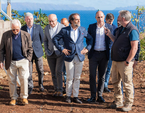 Produção do Terrantez em recuperação